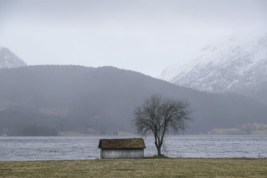 Lonely Little Shack, brown and white house near sea, mountain HD wallpaper