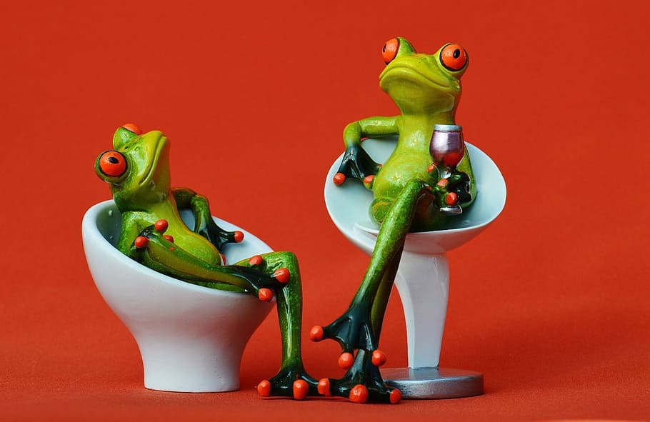 frog, chair, cozy, for two, drink, wine, soaked, cute, sweet HD wallpaper
