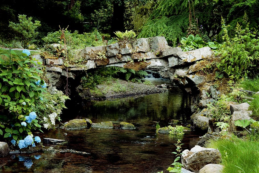Bridge, River, Outdoor, summer, landscape, natural, scenic HD wallpaper