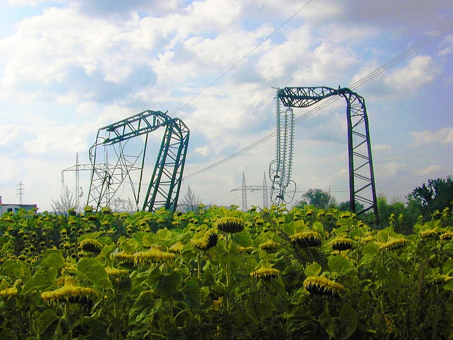 column, broken, crash, energy, sunflower, sloping, defiance HD wallpaper