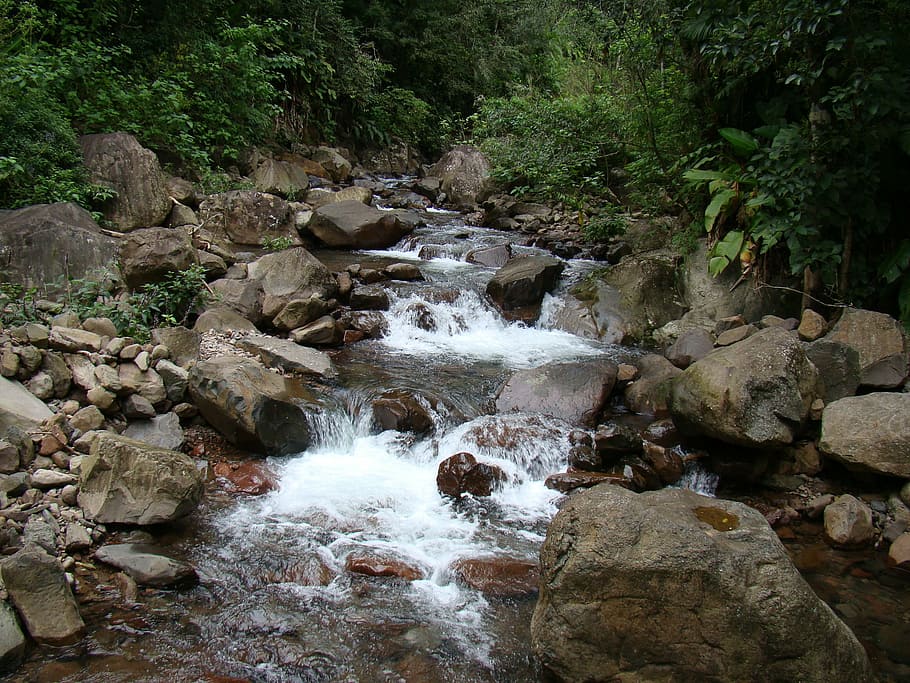rapids, rio, nature, atlantic forest, stream, river, waterfall HD wallpaper