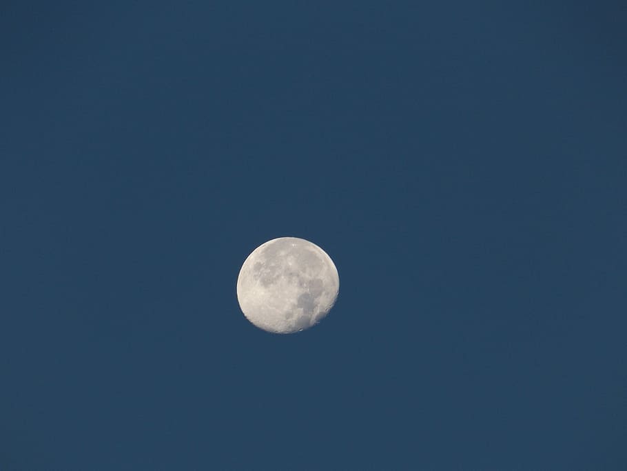 Moon, Space, Lunar, Astronomy, Celestial, night, copy space HD wallpaper