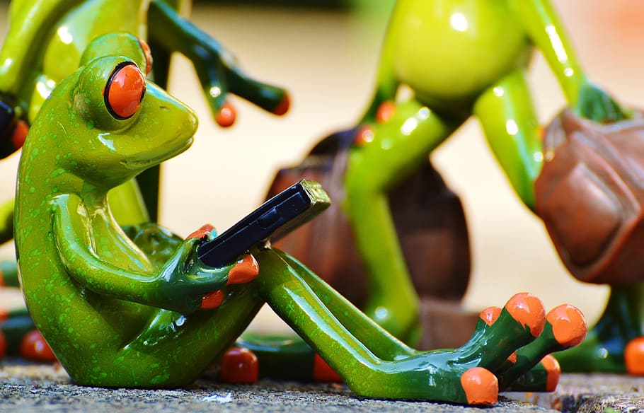 green red-eyed tree frog figurine, Frogs, Computer, Group, Travel HD wallpaper