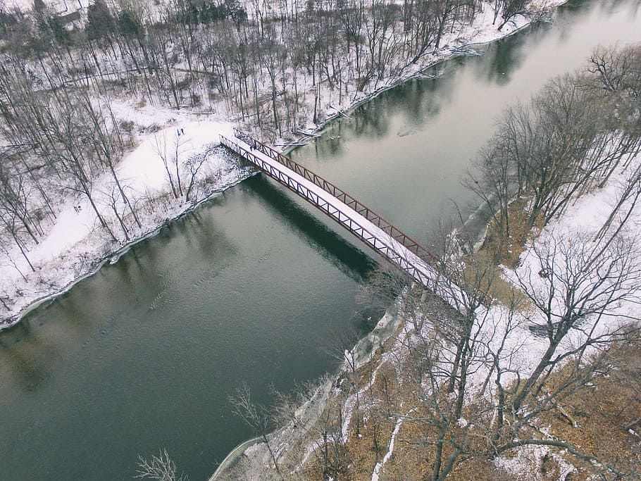 bridge, water, liquid, river, trees, snow, ice, cold, pine HD wallpaper