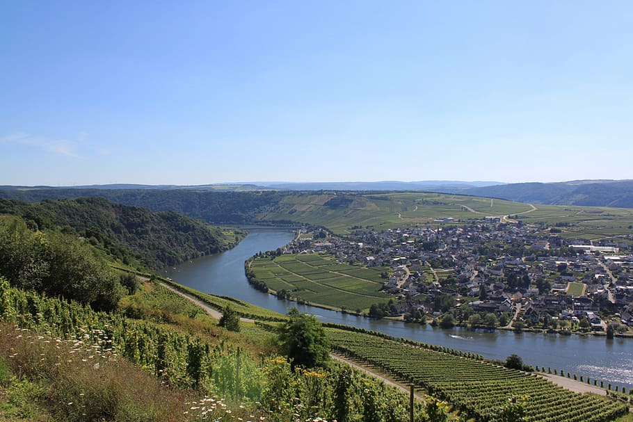 mosel, landscape, vines, vineyard, germany, steep slope, wine growing area, HD wallpaper