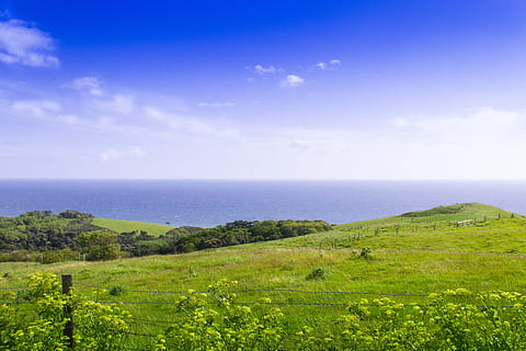 Landscape, Uk, Cornwall, Britain, england, english, british HD wallpaper