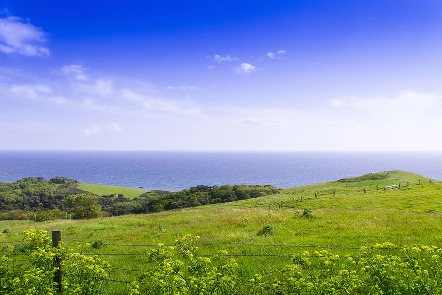Landscape, Uk, Cornwall, Britain, england, english, british, HD wallpaper
