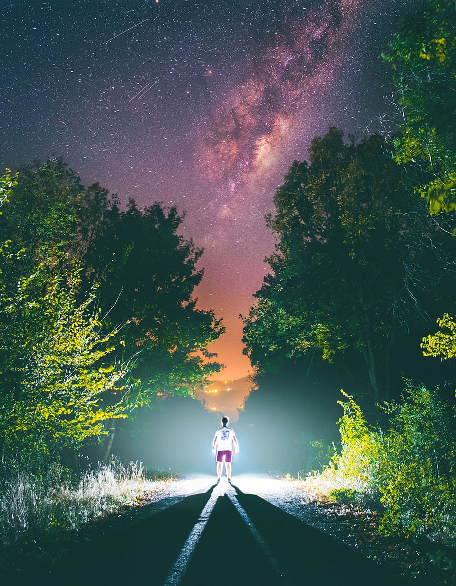Person headlight walking, man standing in between trees, night HD wallpaper