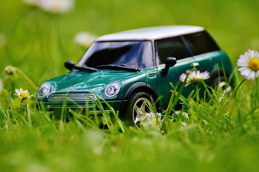 mini cooper, auto, model, vehicle, green, plant, car, grass HD wallpaper