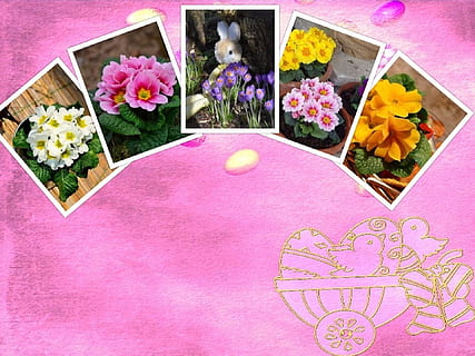 Easter, Collage, Background, Symbol, flowers, plant, primroses HD wallpaper