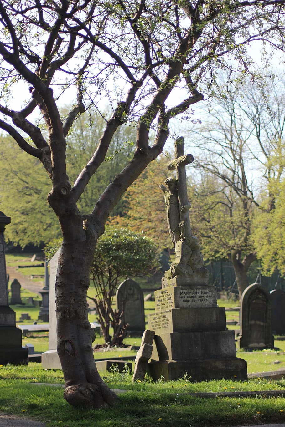 graveyard, tree, cemetery, gravestones, winter, religion, tombstone HD wallpaper