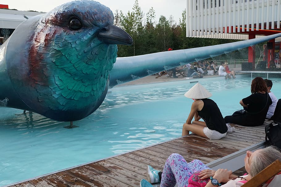 bird, figure, pool, art, expo, blue, fly, gull, milan, italy HD wallpaper