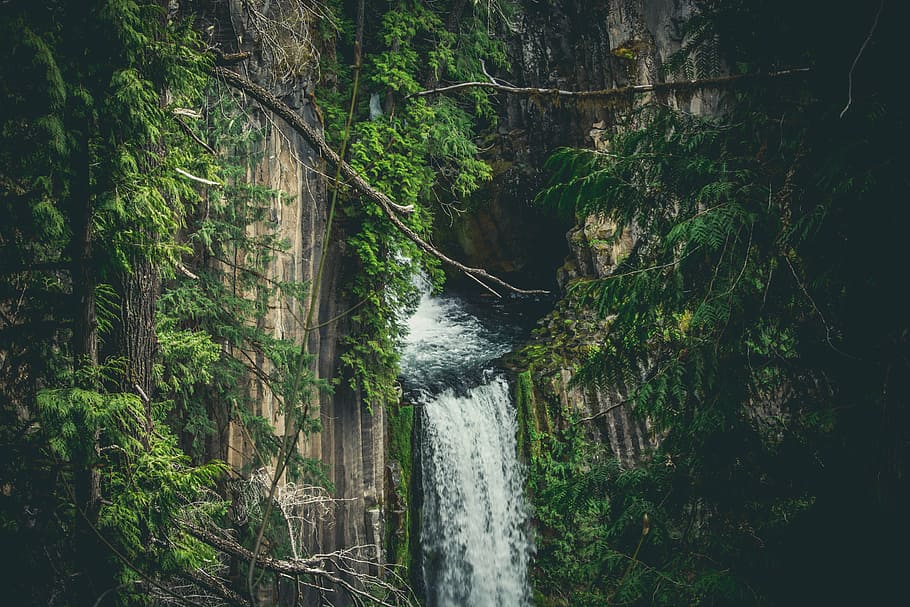 branches, cascade, daylight, environment, fall, forest, landscape HD wallpaper