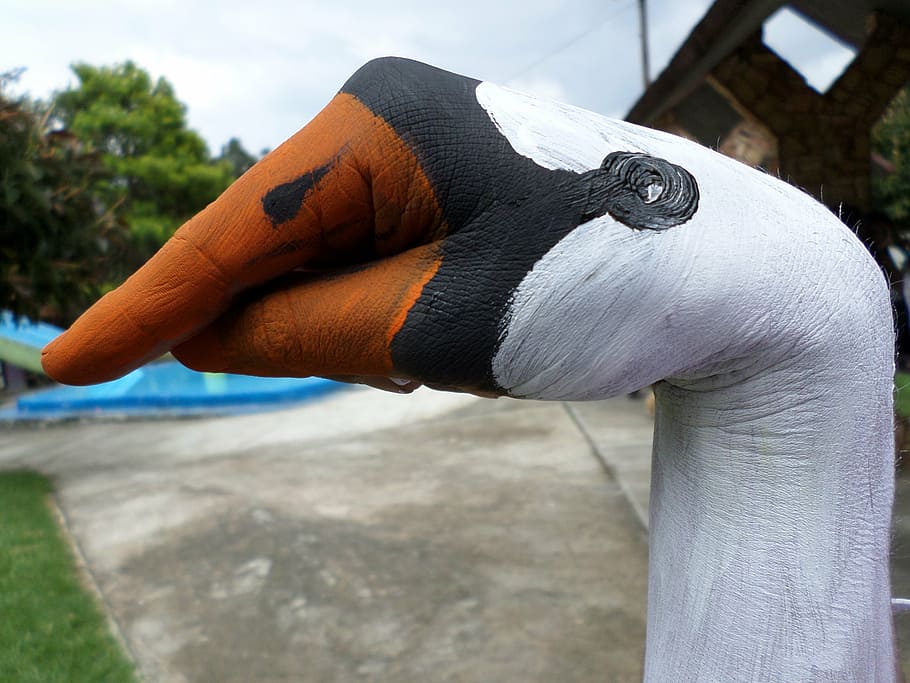 art, goose, hand, one person, day, human hand, human body part HD wallpaper