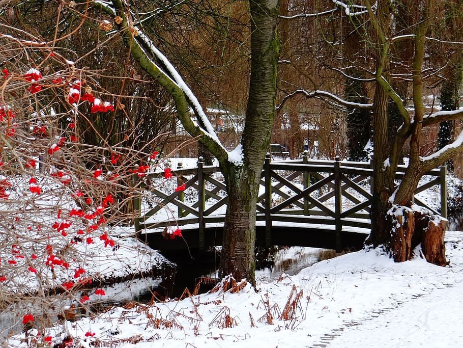 bridge covered with snow, landscape, web, bach, nature, wintry HD wallpaper