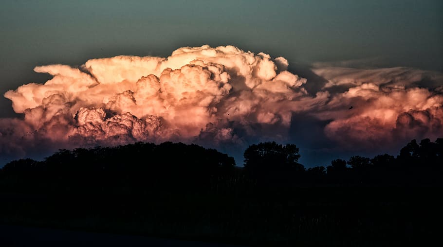 trees under white clouds, storm, sky, nature, burning, silhouette HD wallpaper