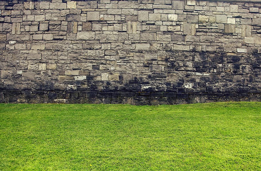 wall, old wall, grass, green, lawn, historic walls, gothic wall HD wallpaper