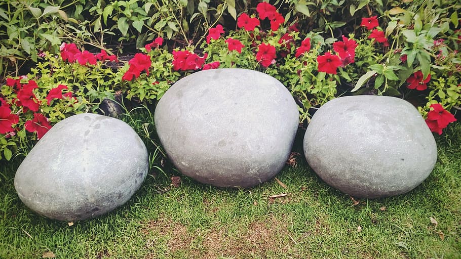 spring, stones, red, flowers, weed, grass, nature, backgrounds HD wallpaper