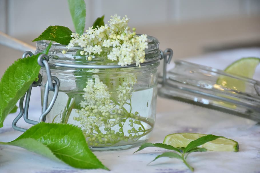 sliced lemon near clear glass container, elder, elderflower, syrup, HD wallpaper