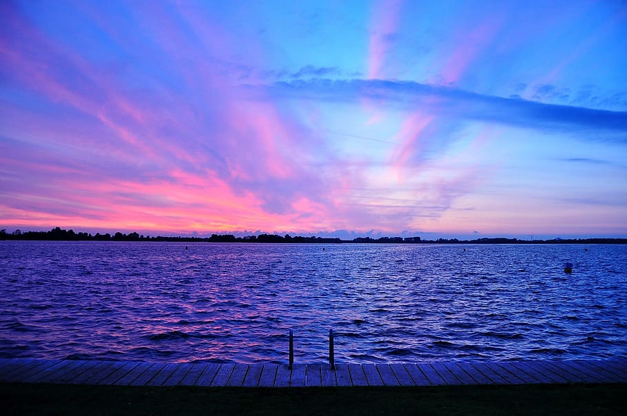 silhouette of trees with body of water, purple, sunset, dusk HD wallpaper