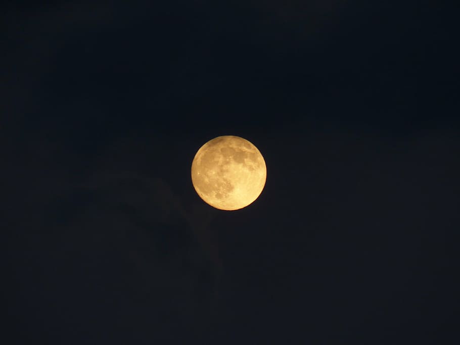 full moon, super moon, night, moonlight, mystical, astronomy HD wallpaper