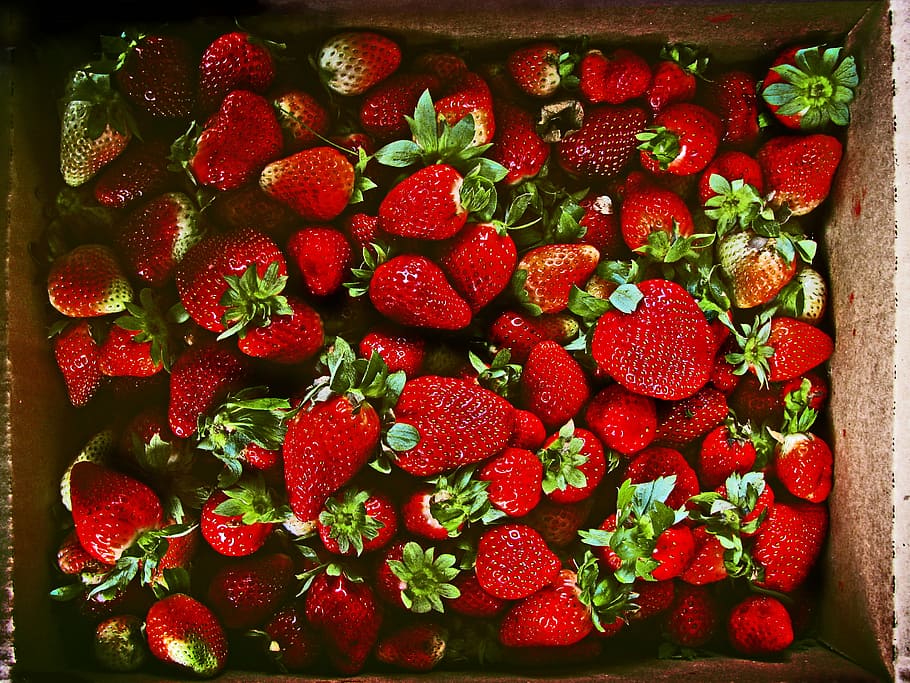 red strawberries in brown box, strawberry lot with box, fruit HD wallpaper