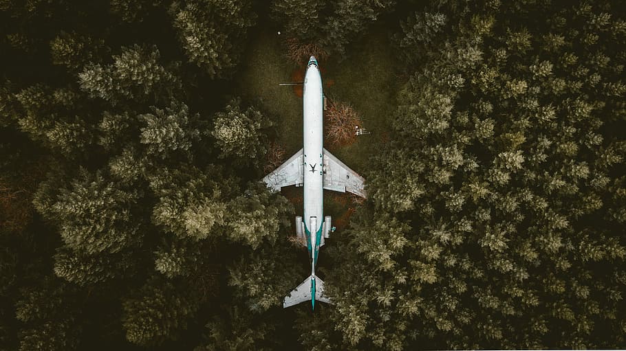 aerial photography of an airplane surrounded with trees, aerial view of airplane HD wallpaper