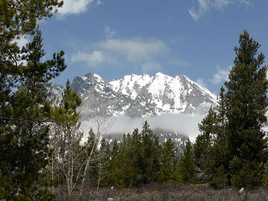 Mountains, Landscape, Winter, Snow, Usa, grand teton, tree HD wallpaper