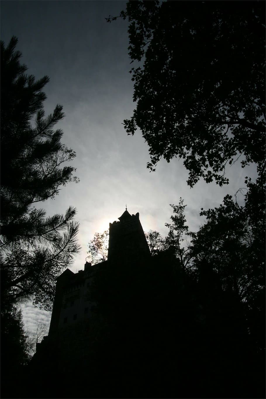 low-angle photo of building near tree, castle, architecture HD wallpaper