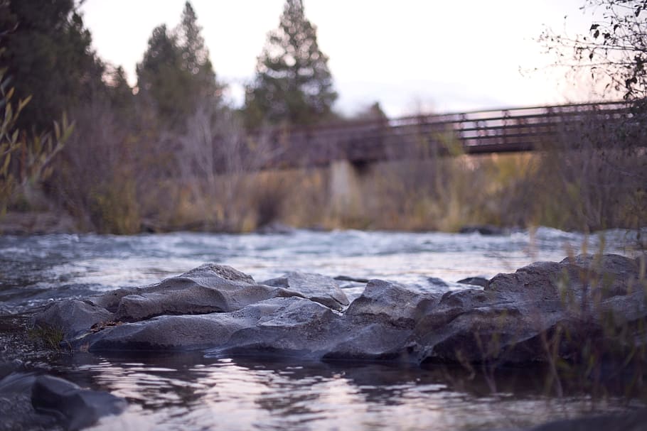river, stones, bridge, vegetation, water, flow, evening, scene HD wallpaper