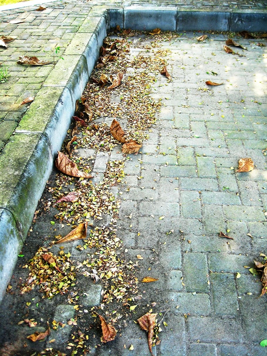 autumn, leaf, scenery, rain, sad, falls, plant part, footpath HD wallpaper
