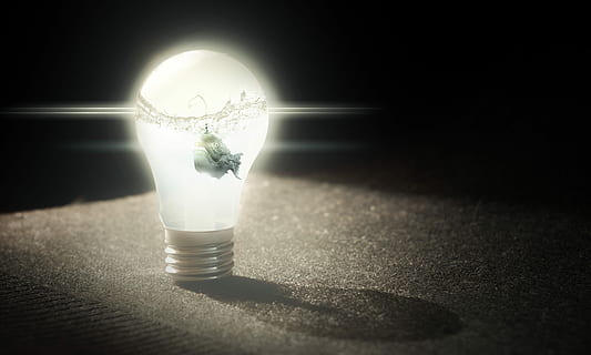 turned on light bulb, Idea, Fish, important, underwater, photo manipulation HD wallpaper