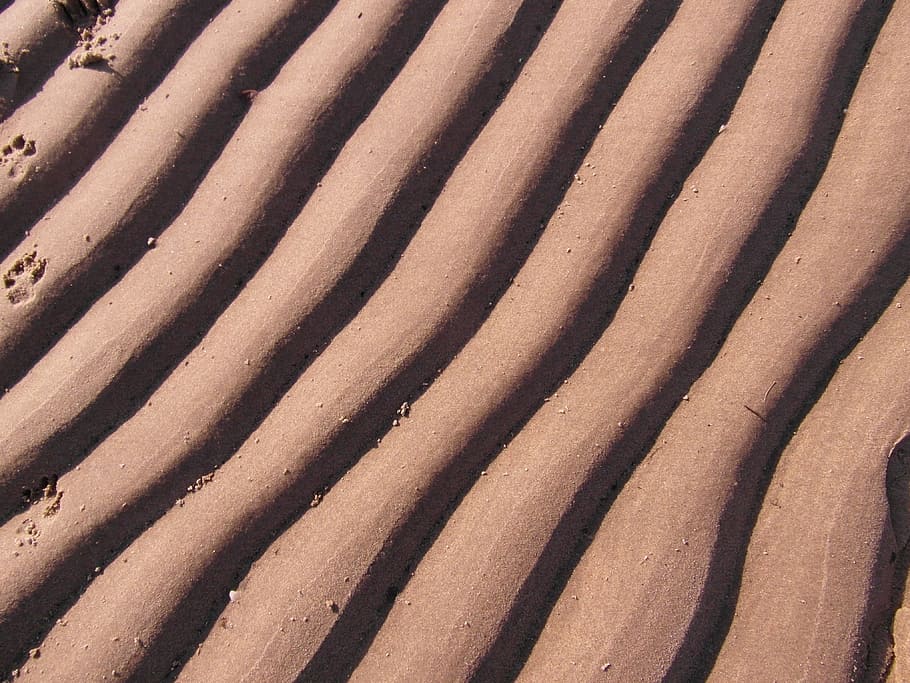 elbe beach, wave, sand, structure, spring, dunes, wind grain HD wallpaper