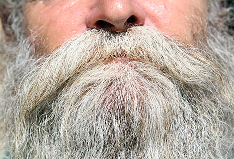 macro photography of white beard, Black, Boy, Brown, Bush, bushy HD wallpaper