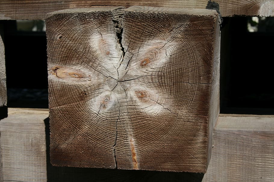 wood, stump, prism, sample, pattern, évgyűrűk, buildup, brown HD wallpaper