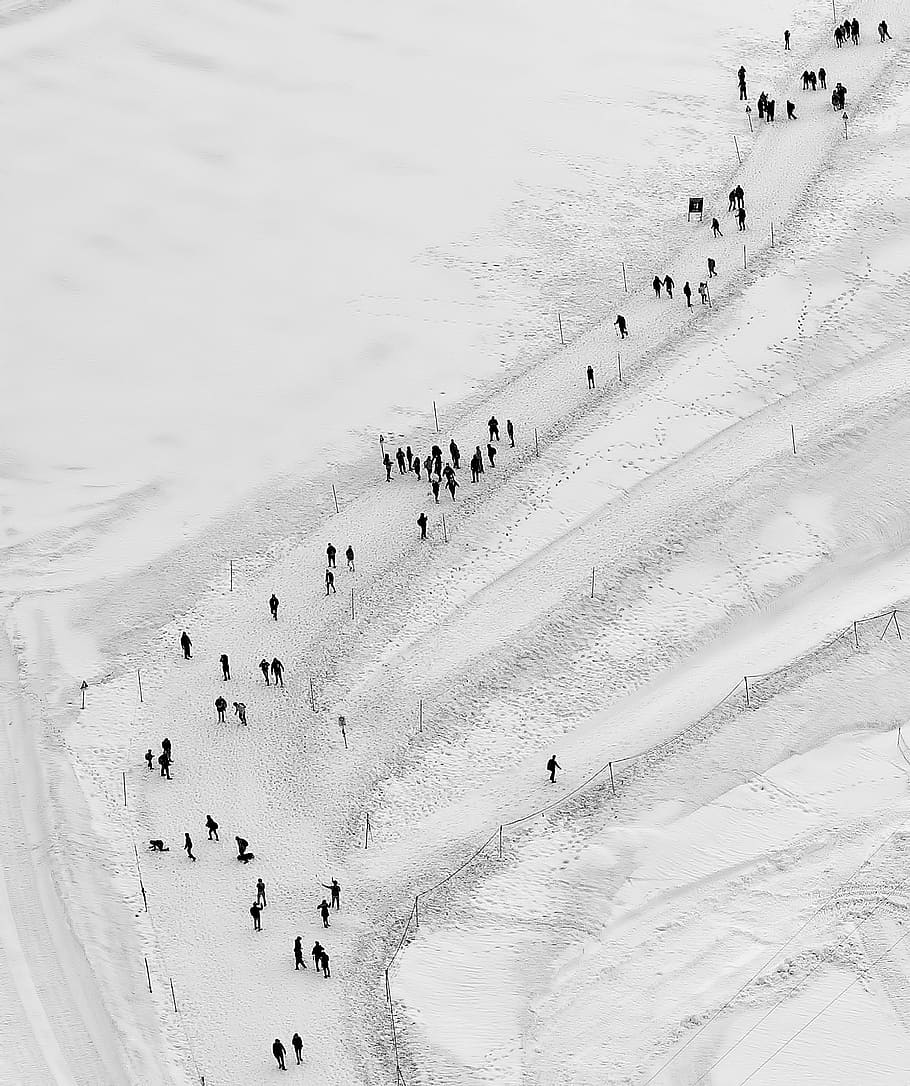 people walking on snow field at daytime, people walking on mountain covered of snow HD wallpaper