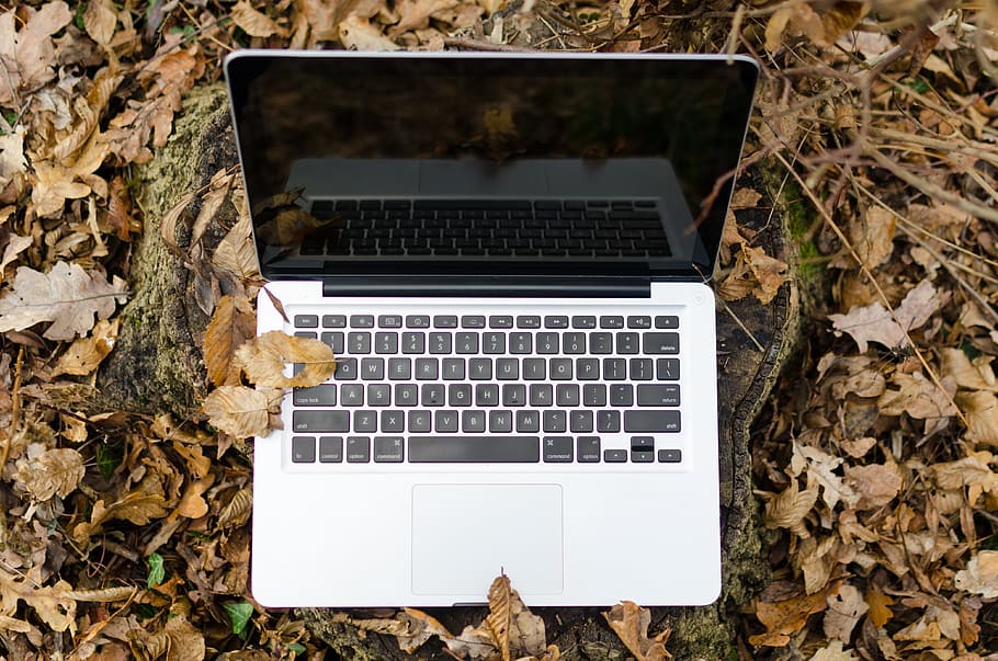 laptop, outside, technology, leaves, day, daylight, electronics HD wallpaper