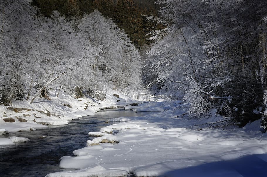 winter, ripe, landscape, wintry, cold, snow, cold temperature HD wallpaper