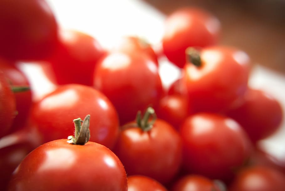 shallow focus photography of tomatoes, pile of tomatoes, cherry tomato HD wallpaper