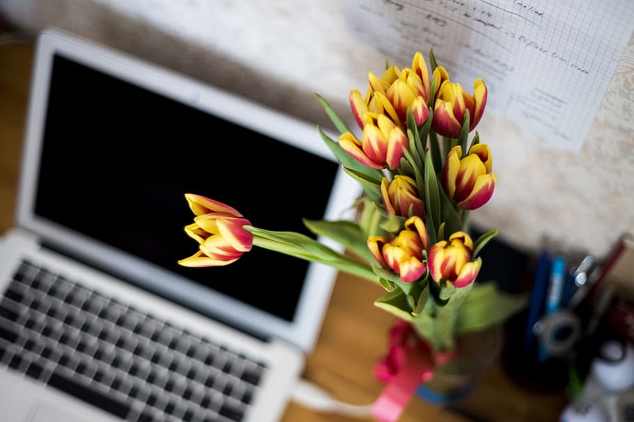white laptop computer, flowers, keyboard, workplace, workstation HD wallpaper