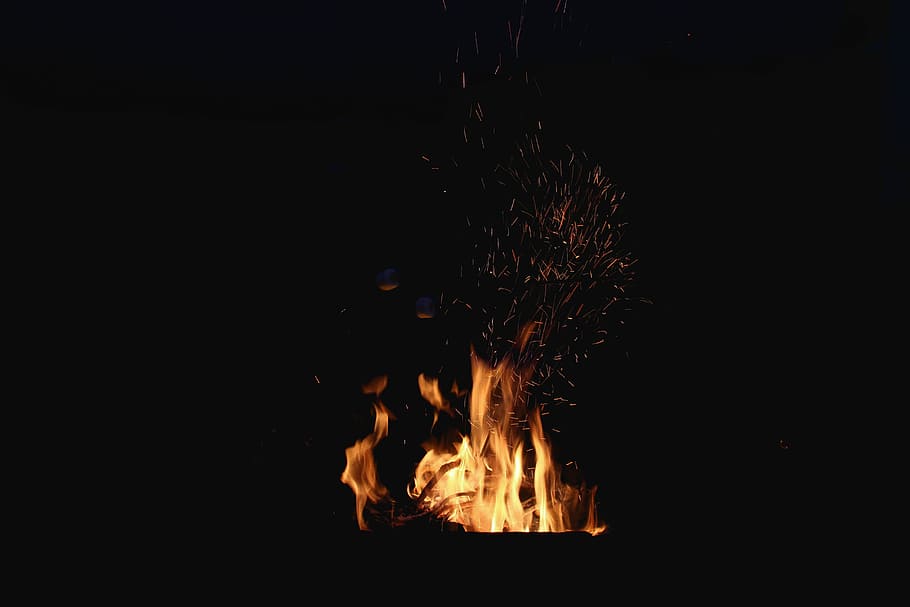 bonfire, bonfire during night time, campfire, wood, smore, camp fire