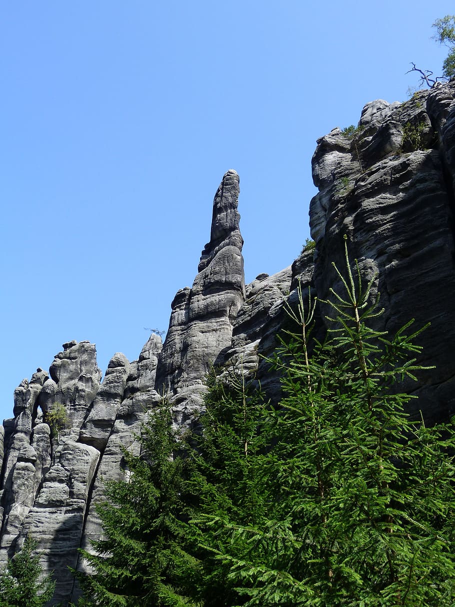 rocks, forest, nature, teplice, pick, mountain, rock - Object HD wallpaper