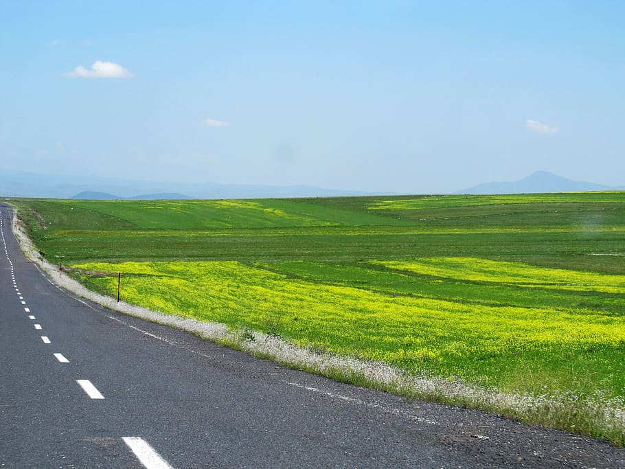 turkey, road, landscape, sky, transportation, plant, tranquility HD wallpaper