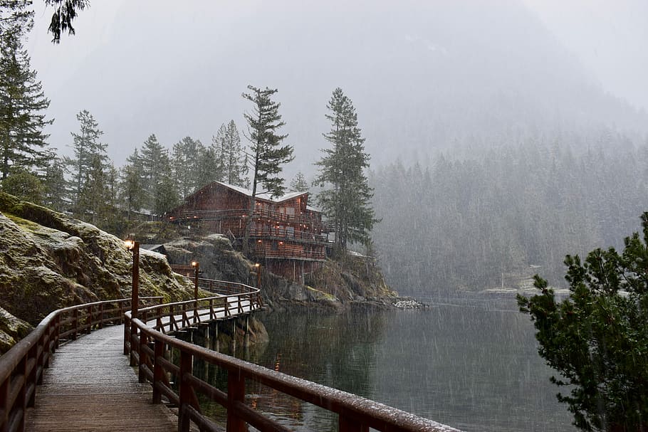 brown wooden lake pathway, brown wooden bridge near brown wooden house under gray sky HD wallpaper