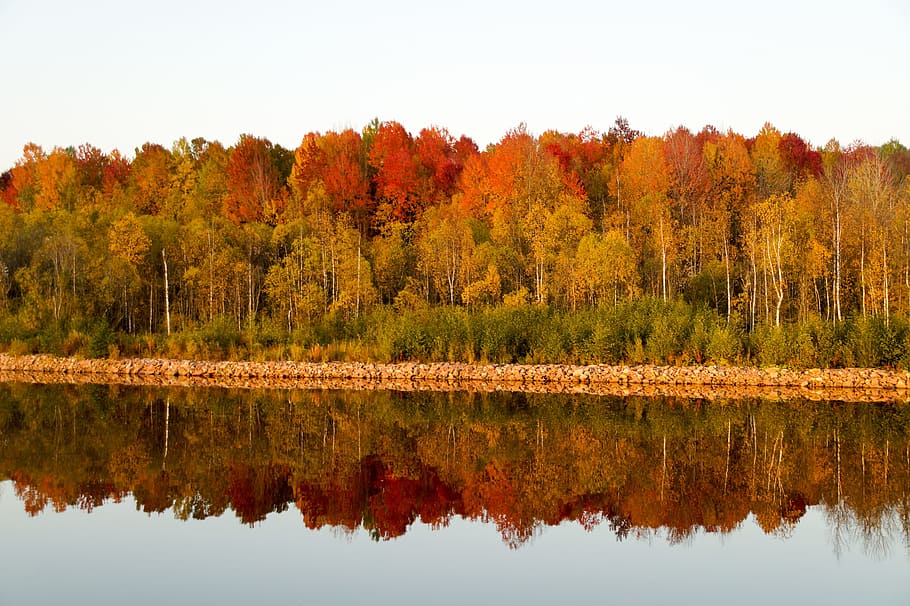 landscape, trees, nature, lighting, lake, autumn, reflection HD wallpaper