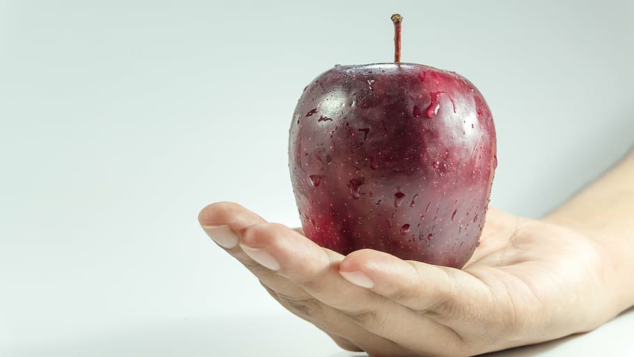 closeup photo of person holding red apple fruit, hand, woman HD wallpaper