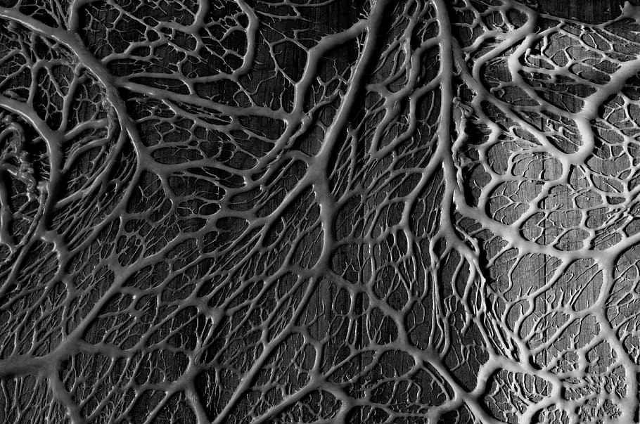gray and black vein abstract artwork, black and white, material HD wallpaper