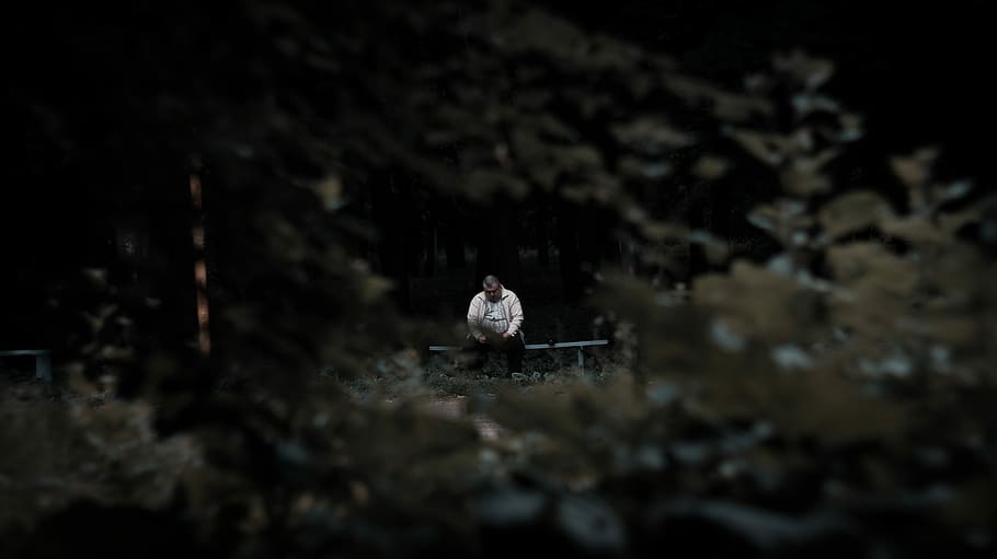 selective photography of man sitting on bench surrounded by trees HD wallpaper