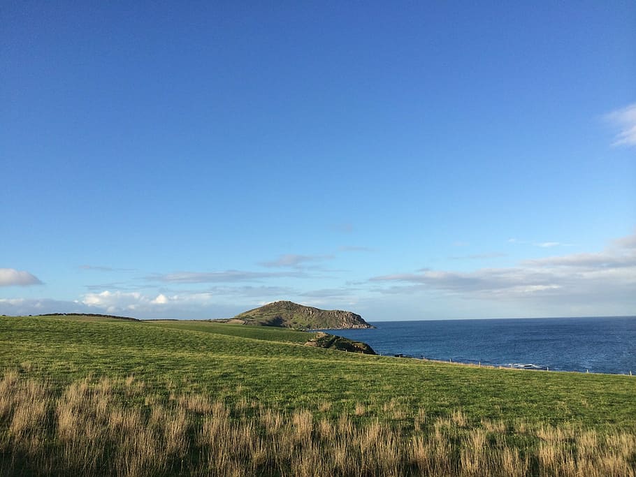 grass, sky, blue, ocean, farm, clear, land, countryside, pasture HD wallpaper