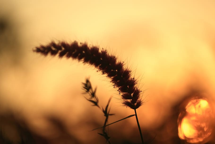 sunset, evening, sky, landscape, nature, travel, yellow, silhouette HD wallpaper